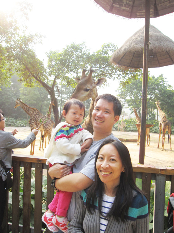 At the Safari Park with some giraffes