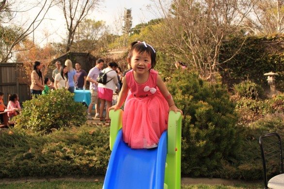 Roxy enjoying her new slide