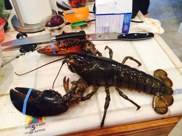 One of the lobsters who made the ultimate sacrifice