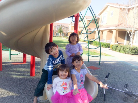 Playing with friends on the slide