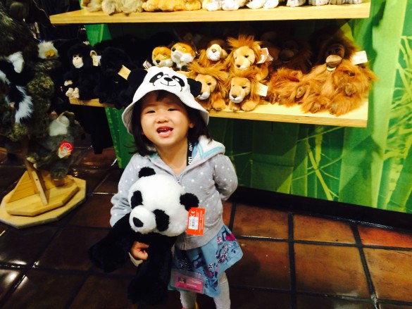 My cute little panda