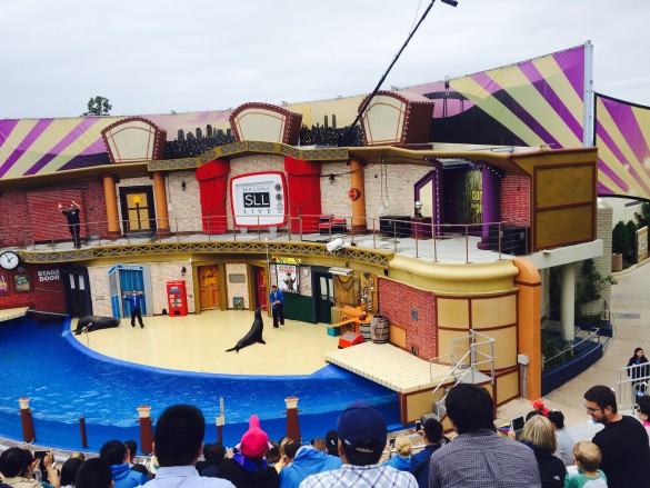 Sea Lion Show