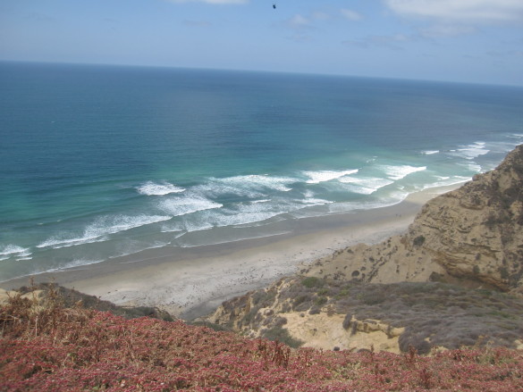 Another view of the cliffs by UC San Diego