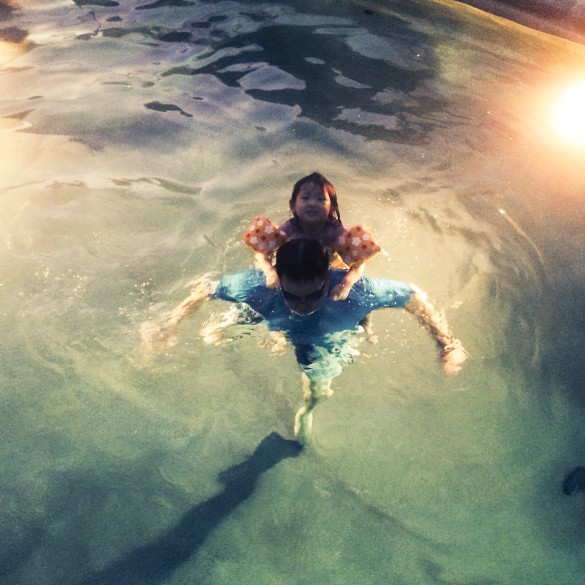 Baba & Roxy in our pool